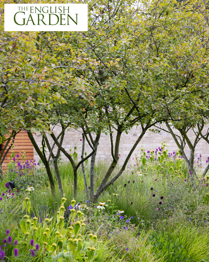 Colm Joseph Cambridgeshire Garden The English Garden magazine feature January 2025