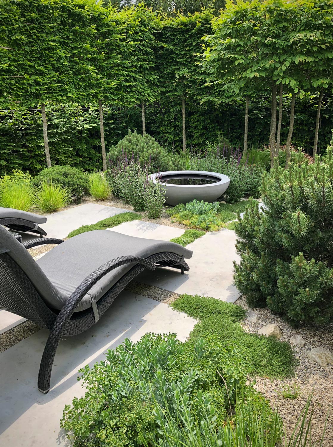Colm Joseph Gardens Suffolk garden design small garden landscape designer contemporary