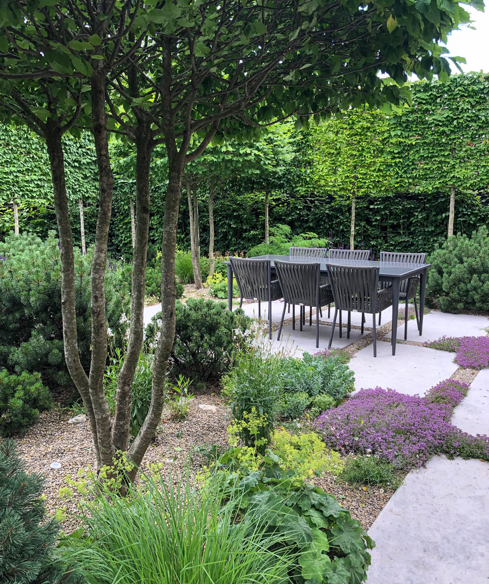 Suffolk garden design contemporary dining area pleached trees multi stem tree naturalistic planting