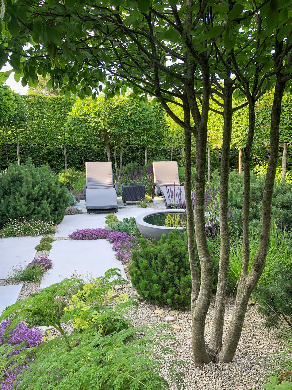 Suffolk garden designer multi stem tree water bowl seating area natural planting pleached trees Colm Joseph