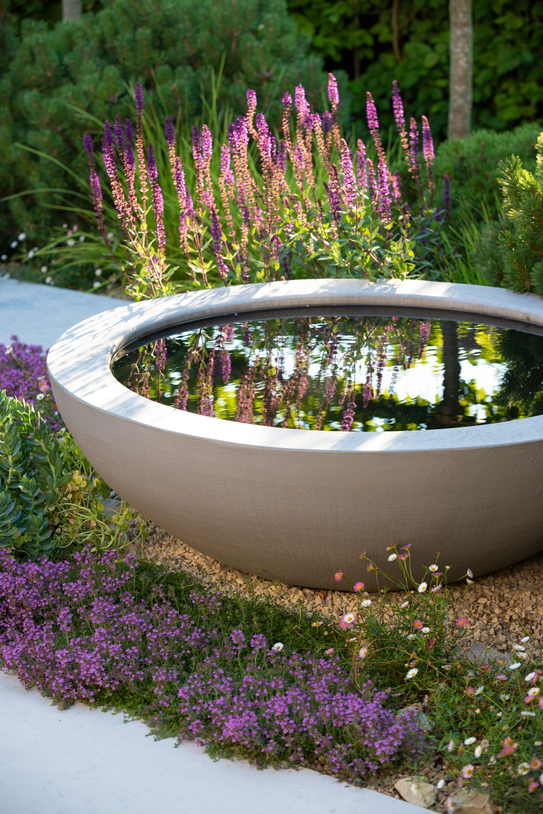 Colm Joseph suffolk garden designer water feature bowl limestone paving creeping thyme salvia caradonna Erigeron karvinskianus