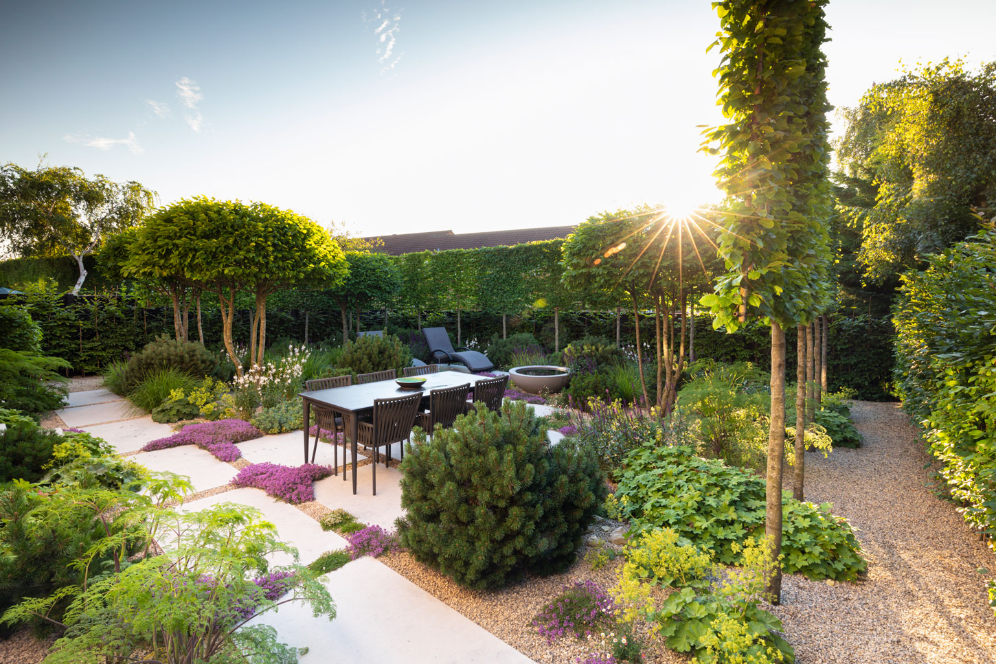 Colm Joseph suffolk garden design outdoor living space pleached hornbeam multi stem trees dwarf pines Richard Bloom Photography