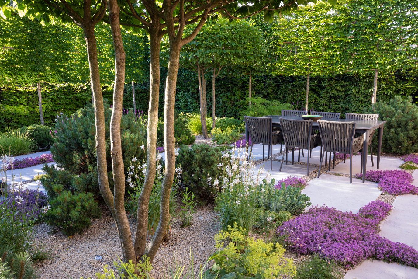 Colm Joseph Suffolk garden designer multi-stem tree pleached hornbeam trees seating area outdoor dining natural planting bespoke large format limestone paving planted paving joints creeping thyme