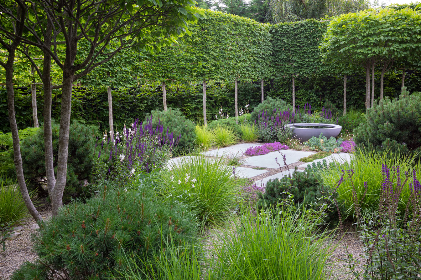 Colm Joseph suffolk garden designer multi stem hornbeam pleached trees limestone paving creeping flowering thyme sesleria autumnalis Richard Bloom Photography