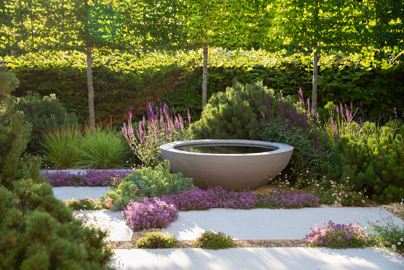 Colm Joseph suffolk garden designer pleached hornbeam trees naturalistic planting design water bowl limestone paving gravel creeping thyme salvia caradonna Sesleria autumnalis dwarf pines