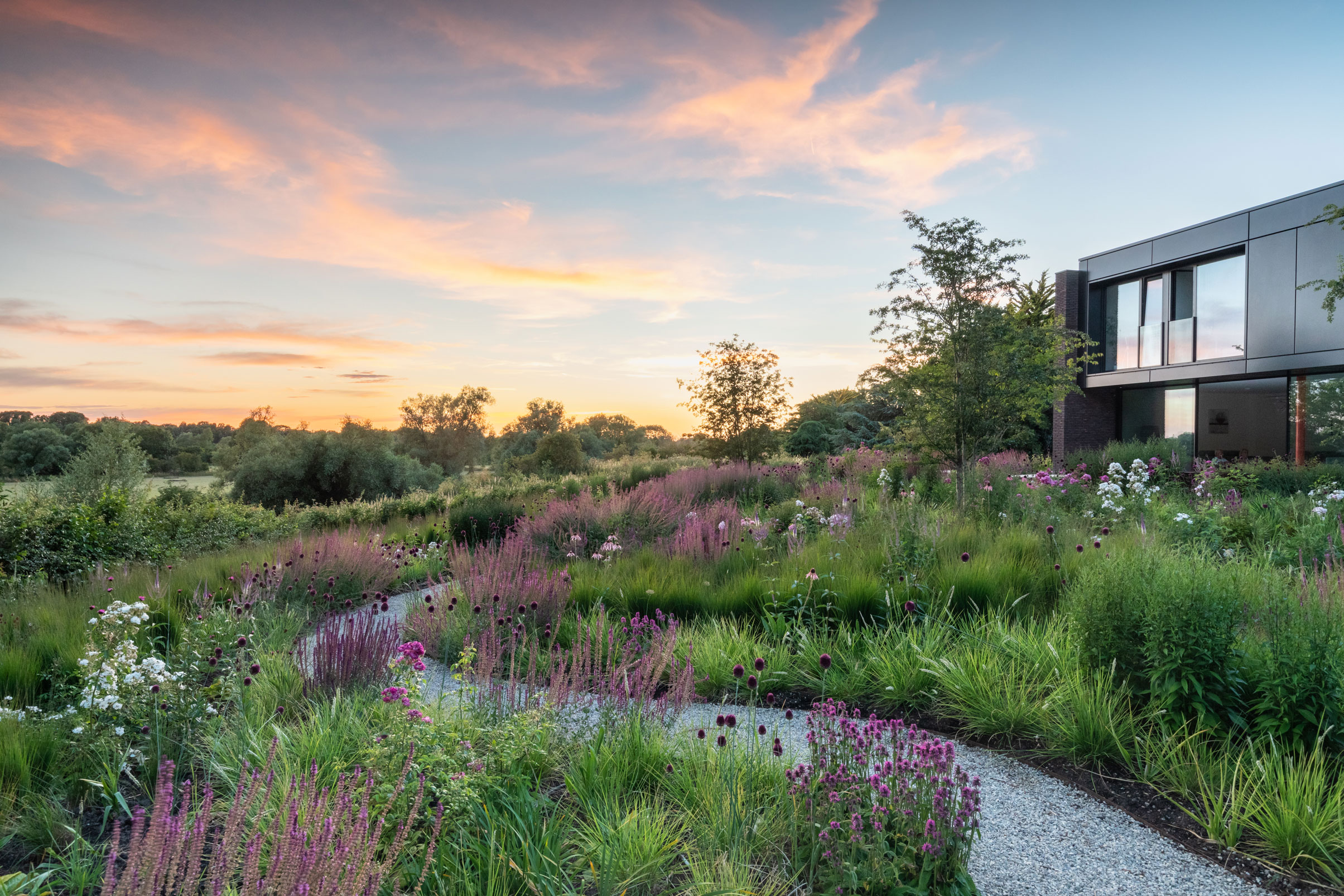 Colm Joseph garden designer cambridgeshire rose meadow modern architecture naturalistic planting design gravel path