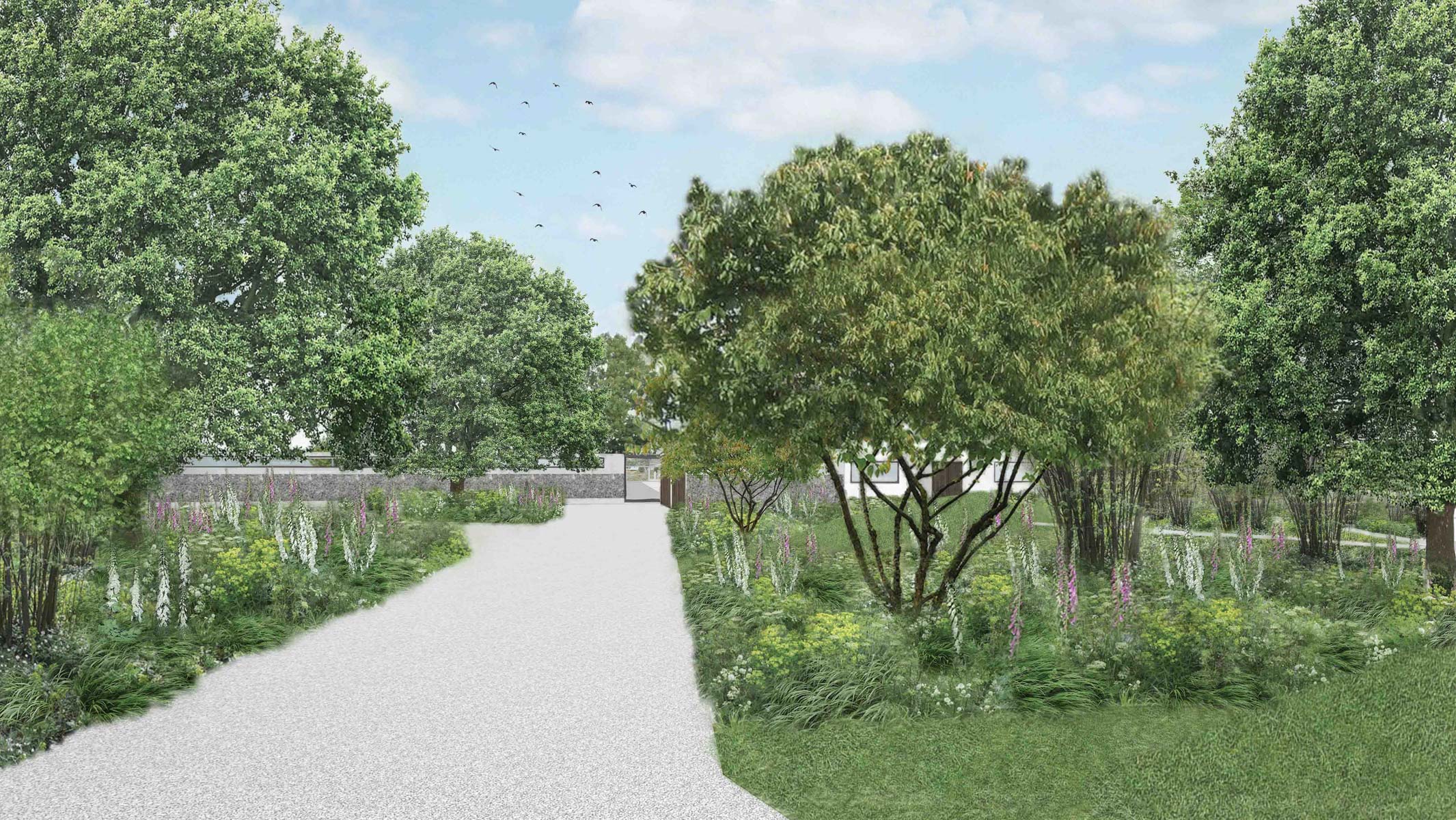 Colm Joseph Gardens - contemporary family garden modern architecture woodland garden.