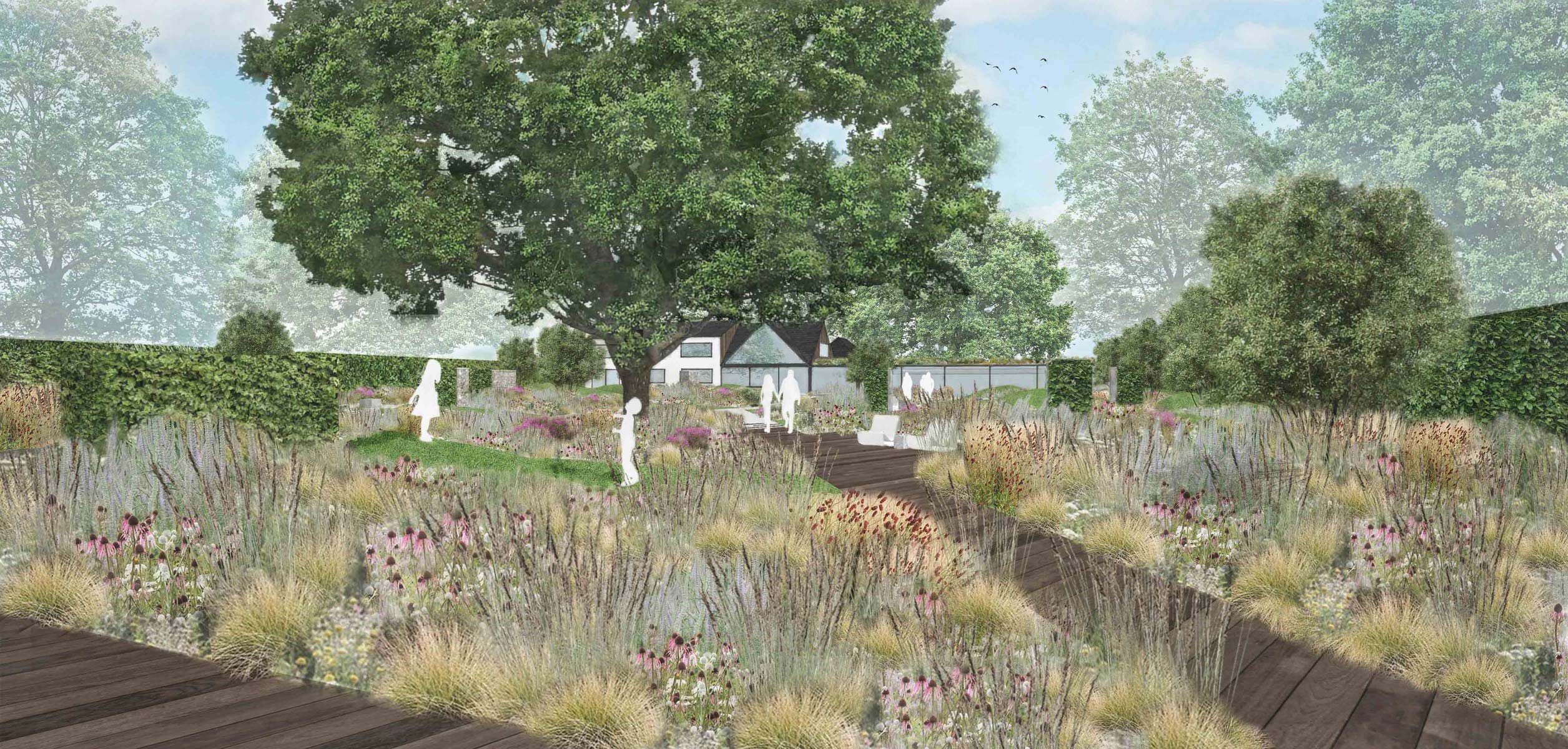 Colm Joseph Gardens - contemporary family garden ornamental meadow oak tree