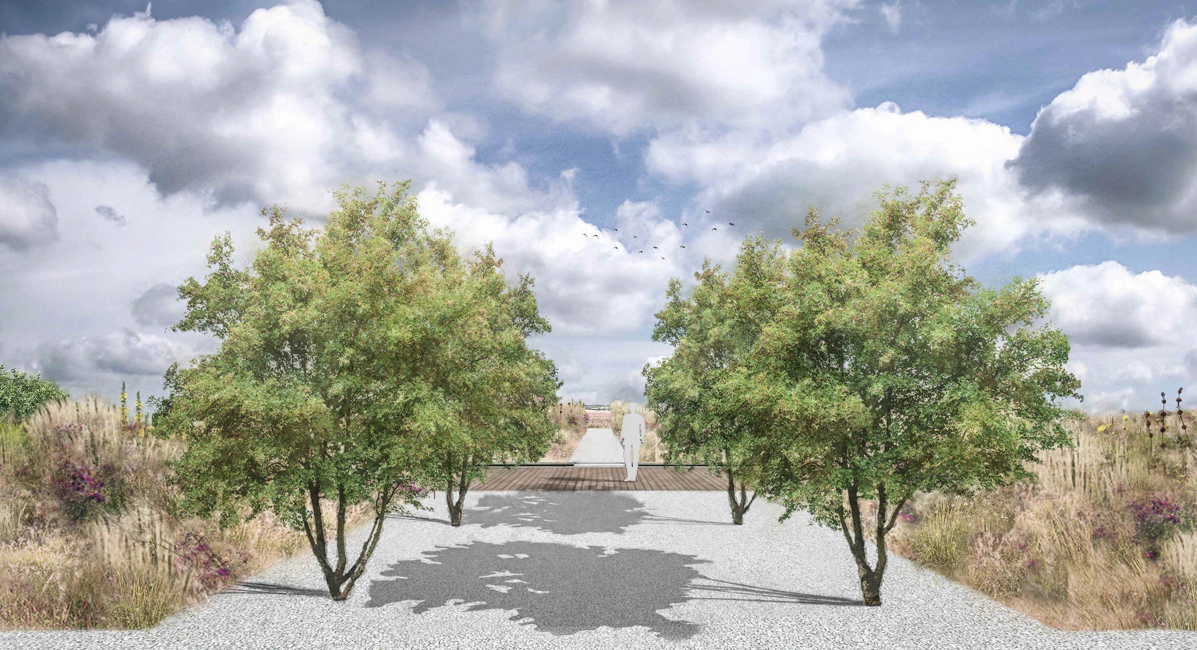 Colm Joseph Gardens - Field Barn Suffolk avenue crab apple trees prairie planting