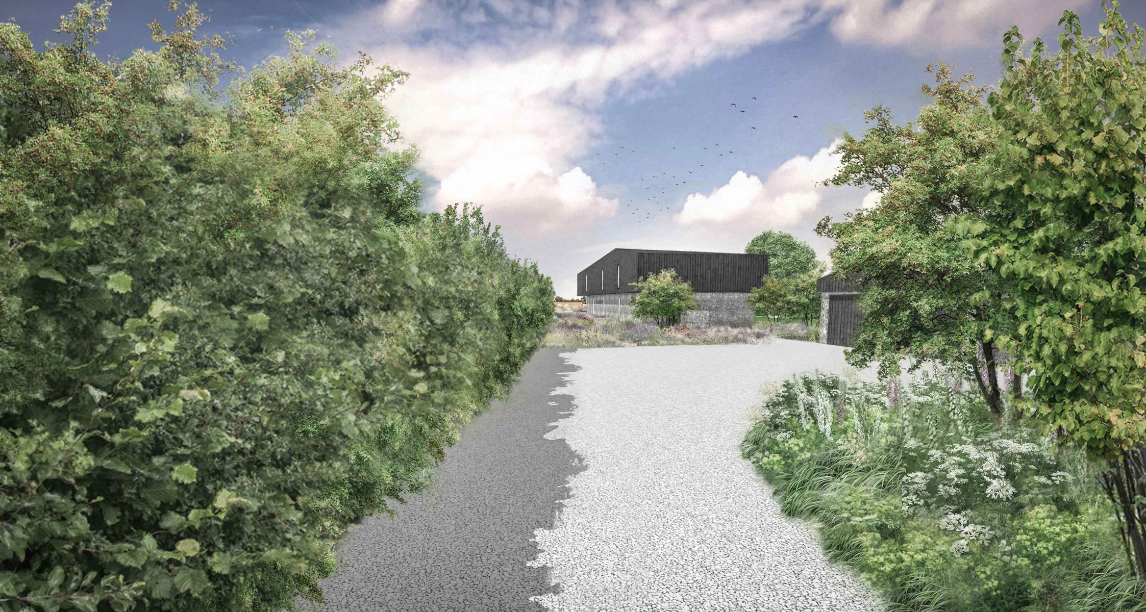 Colm Joseph Gardens - Field Barn Suffolk country garden driveway mixed hedgerow modern architecture ornamental meadow