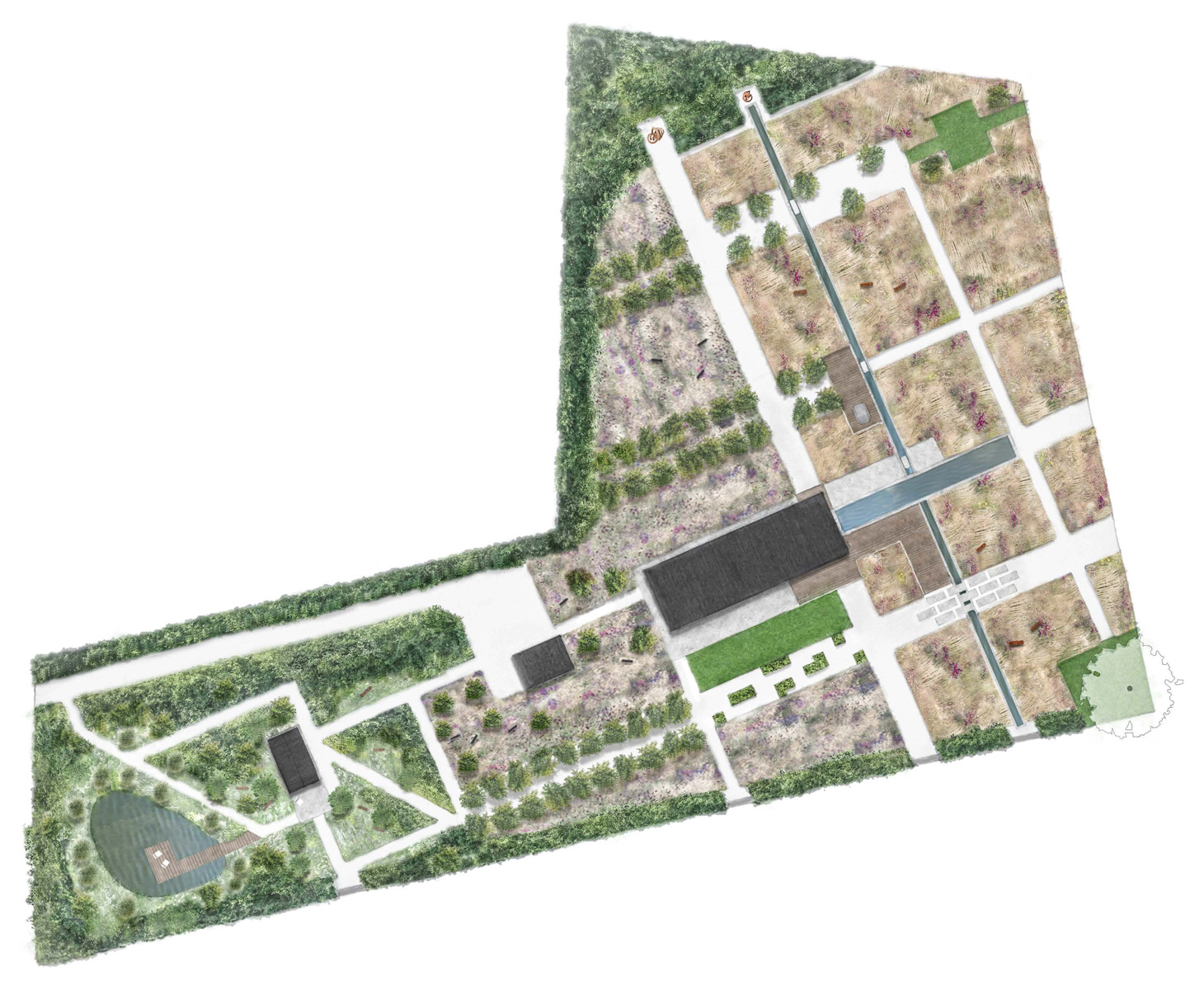 Colm Joseph Gardens - Field Barn Suffolk masterplan modern country garden design suffolk