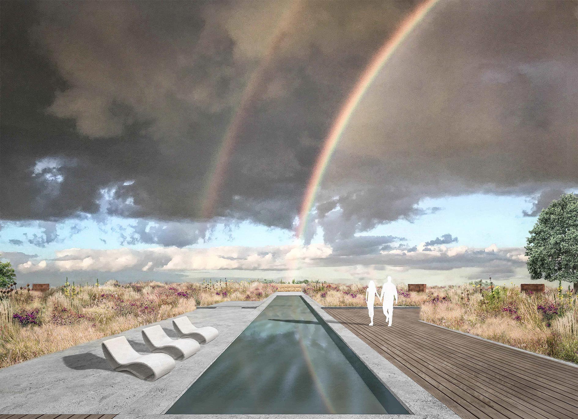 Colm Joseph Gardens - Field Barn Suffolk swimming pool concrete terrace oak deck modern garden design prairie planting