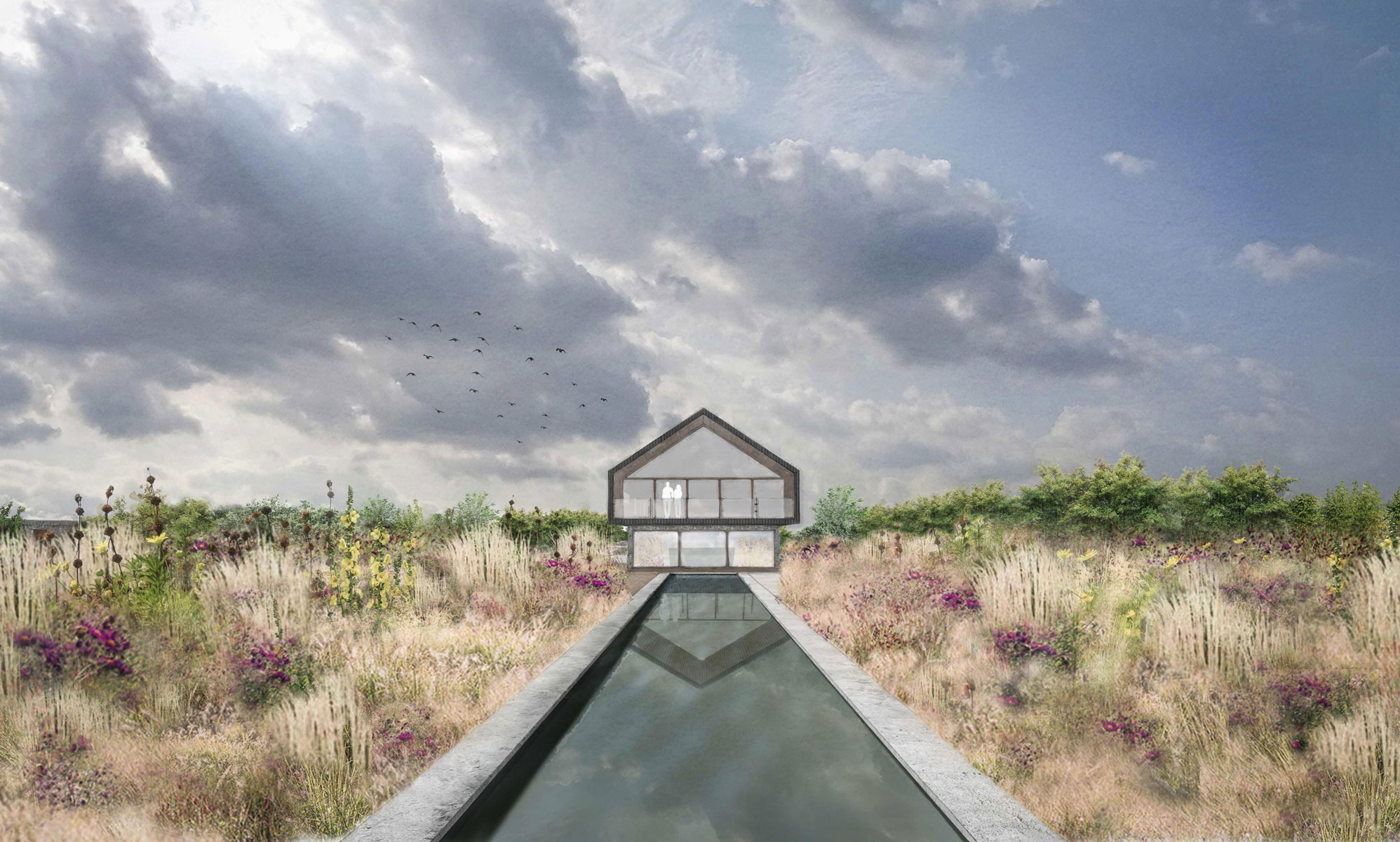 Colm Joseph Gardens- Field Barn Suffolk modern architecture garden design swimming pool naturalistic planting