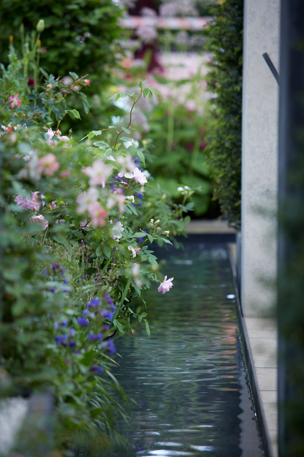 Colm Joseph Gardens   RHS Chelsea Flower Show water feature rill contemporary garden design   Photo credit Britt Willoughby Dyer