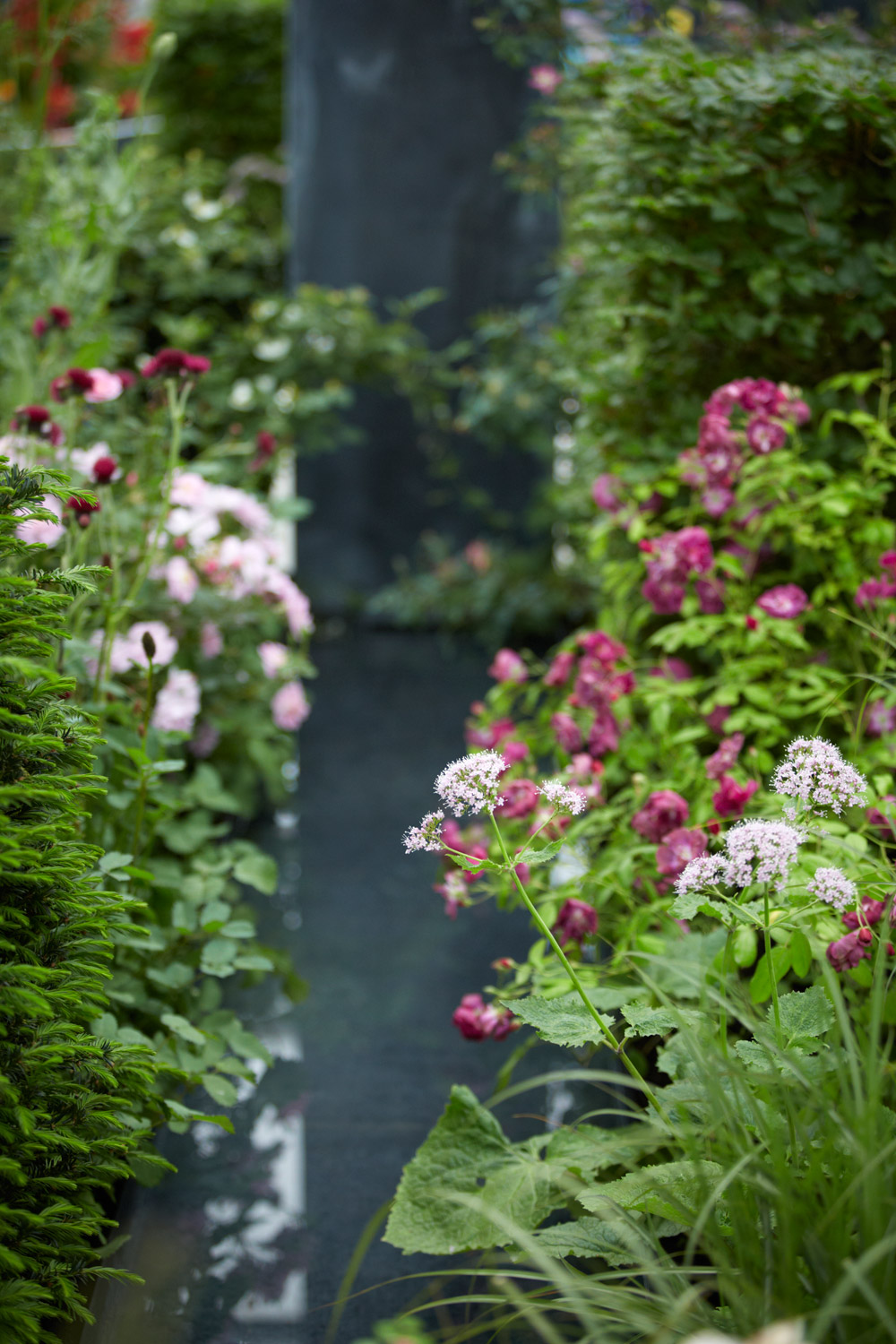 Colm Joseph Gardens   RHS Chelsea Flower Show water feature rill naturalistic planting design   Photo credit Britt Willoughby Dyer