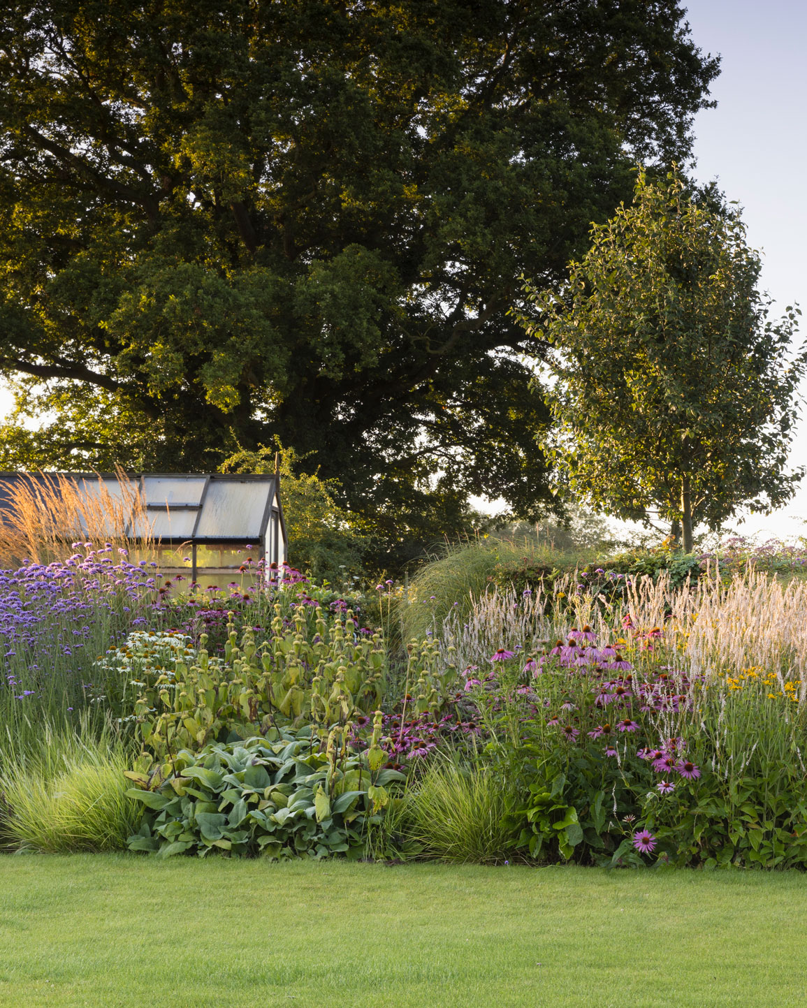 Colm Joseph suffolk country garden perennial planting lawn greenhouse oak tree