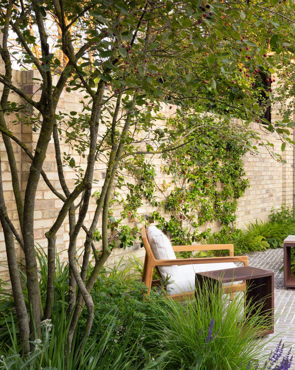 Colm Joseph Cambridge courtyard garden design multi-stem tree outdoor seating