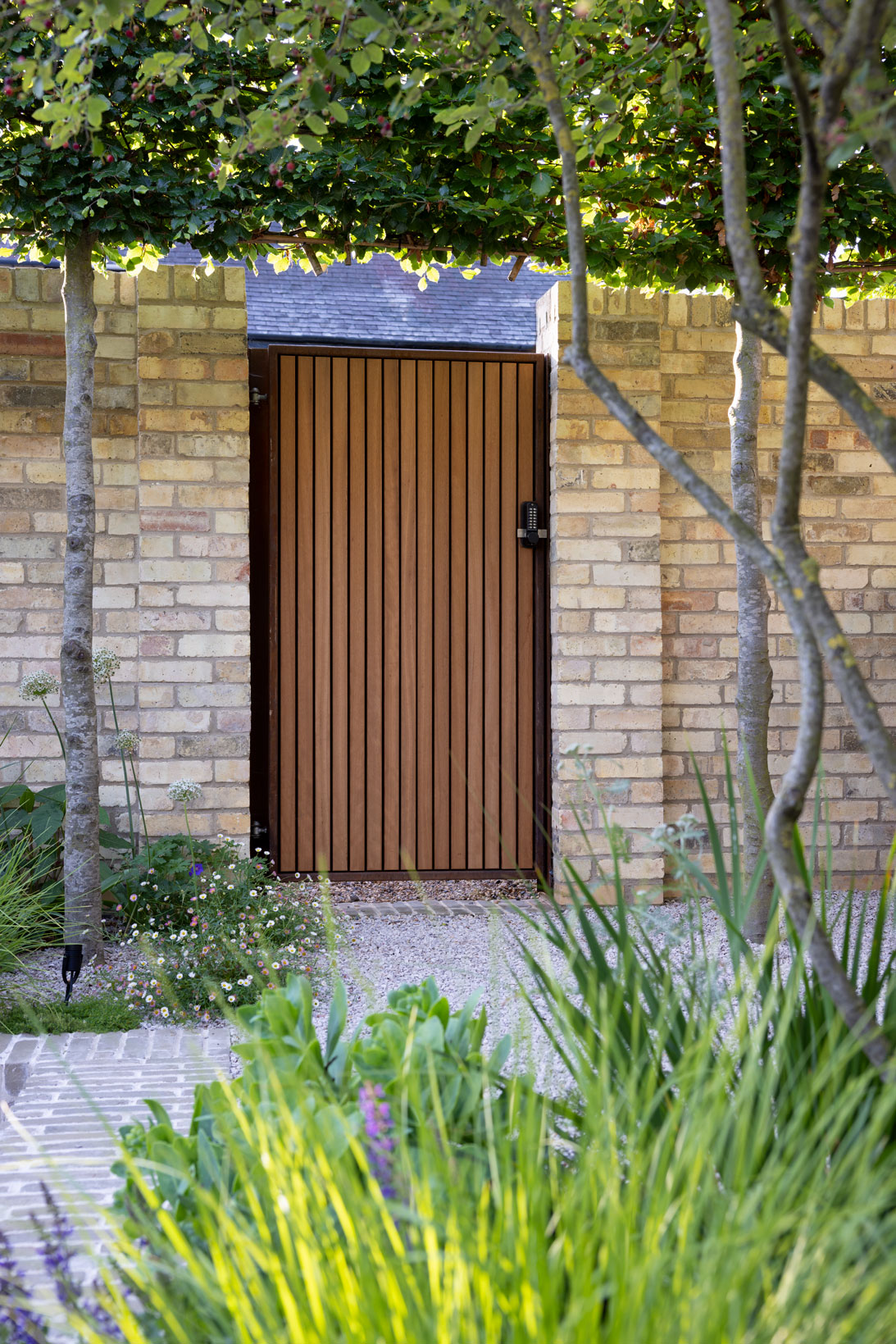Colm Joseph Cambridge courtyard design bespoke garden gate pleached trees brick wall