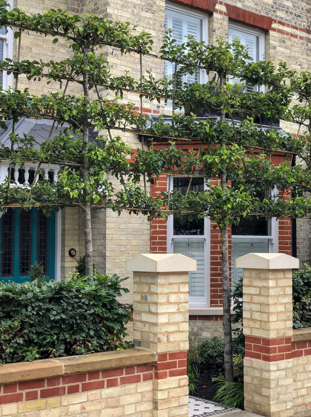 Colm Joseph Cambridge front garden pleached trees beech hedge tiled front path