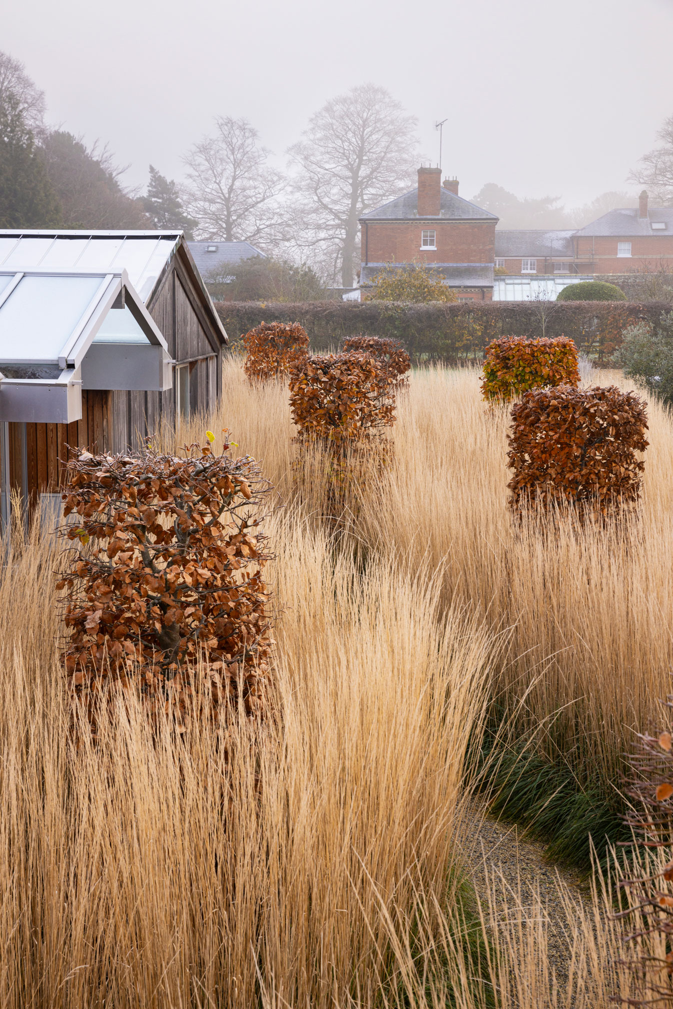 Colm Joseph Suffolk walled garden winter calamagrostis karl foerster fagus beech cylinders sculpture front garden gravel path modern architecture