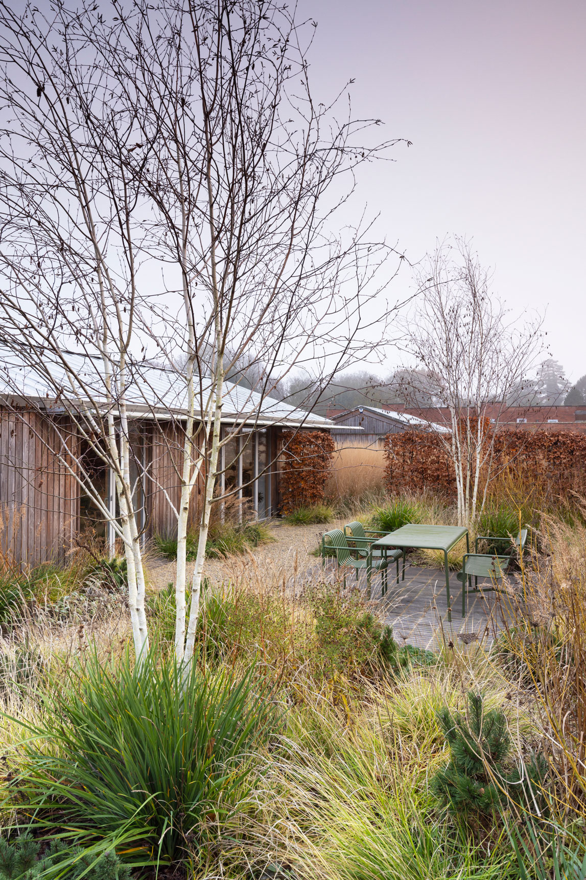 Colm Joseph Suffolk walled garden winter texture colour birch trees multi-stem seating area hay palissade furniture clay pavers timber architecture