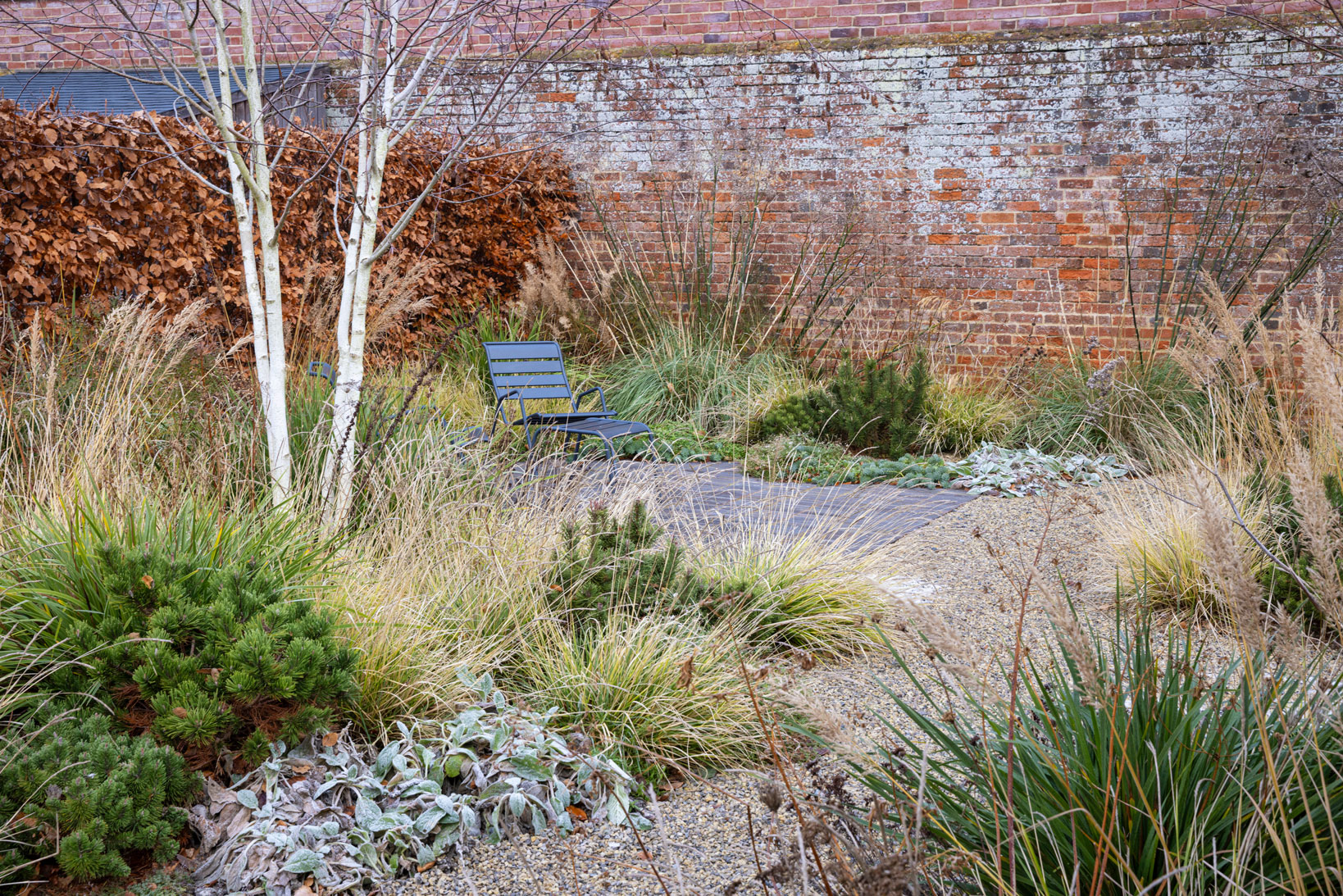 Colm Joseph Suffolk walled garden winter texture gravel path birch trees multi-stem seating area clay pavers old wall