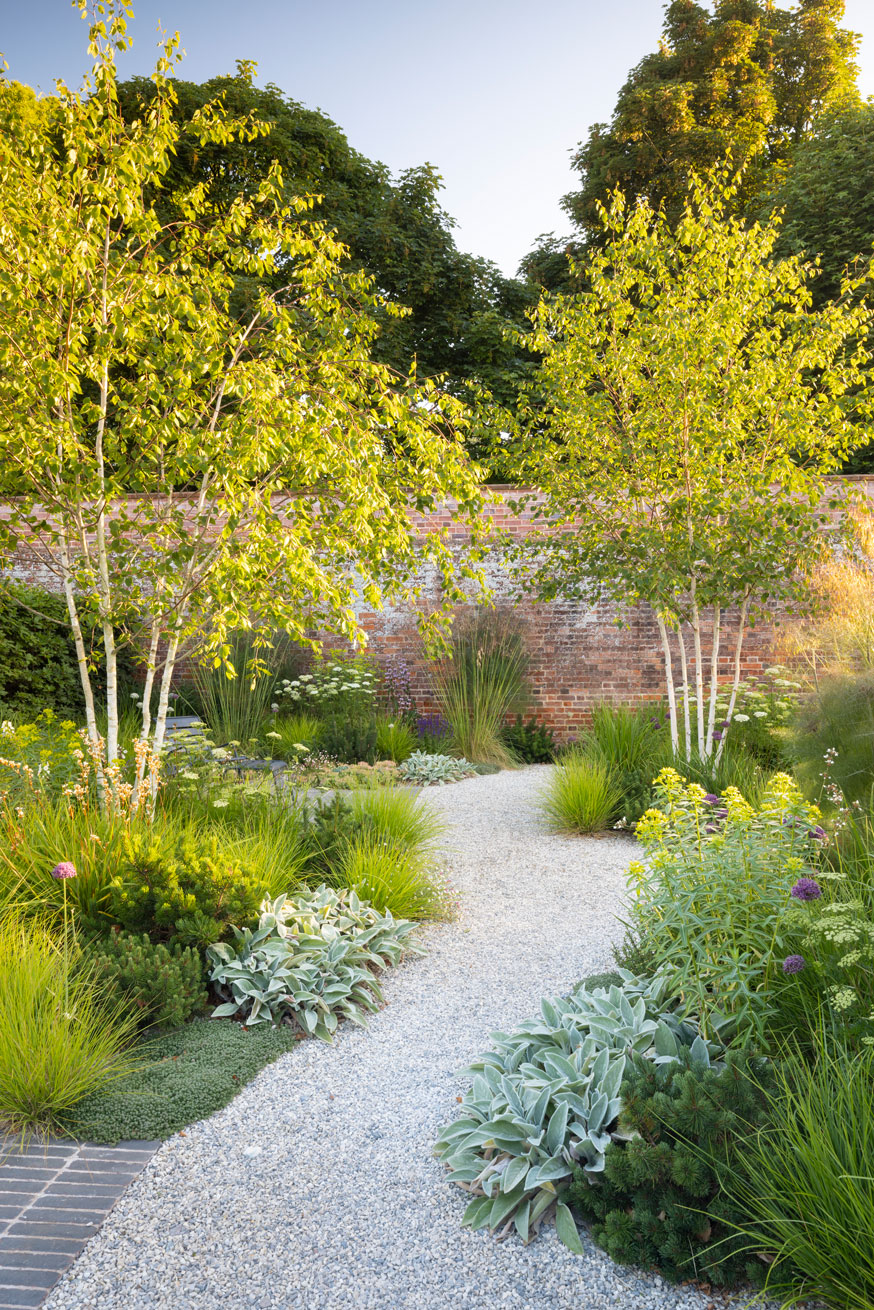 Colm Joseph suffolk gravel garden design old brick wall modern planting birch trees dwarf pines stachys euphorbia grasses