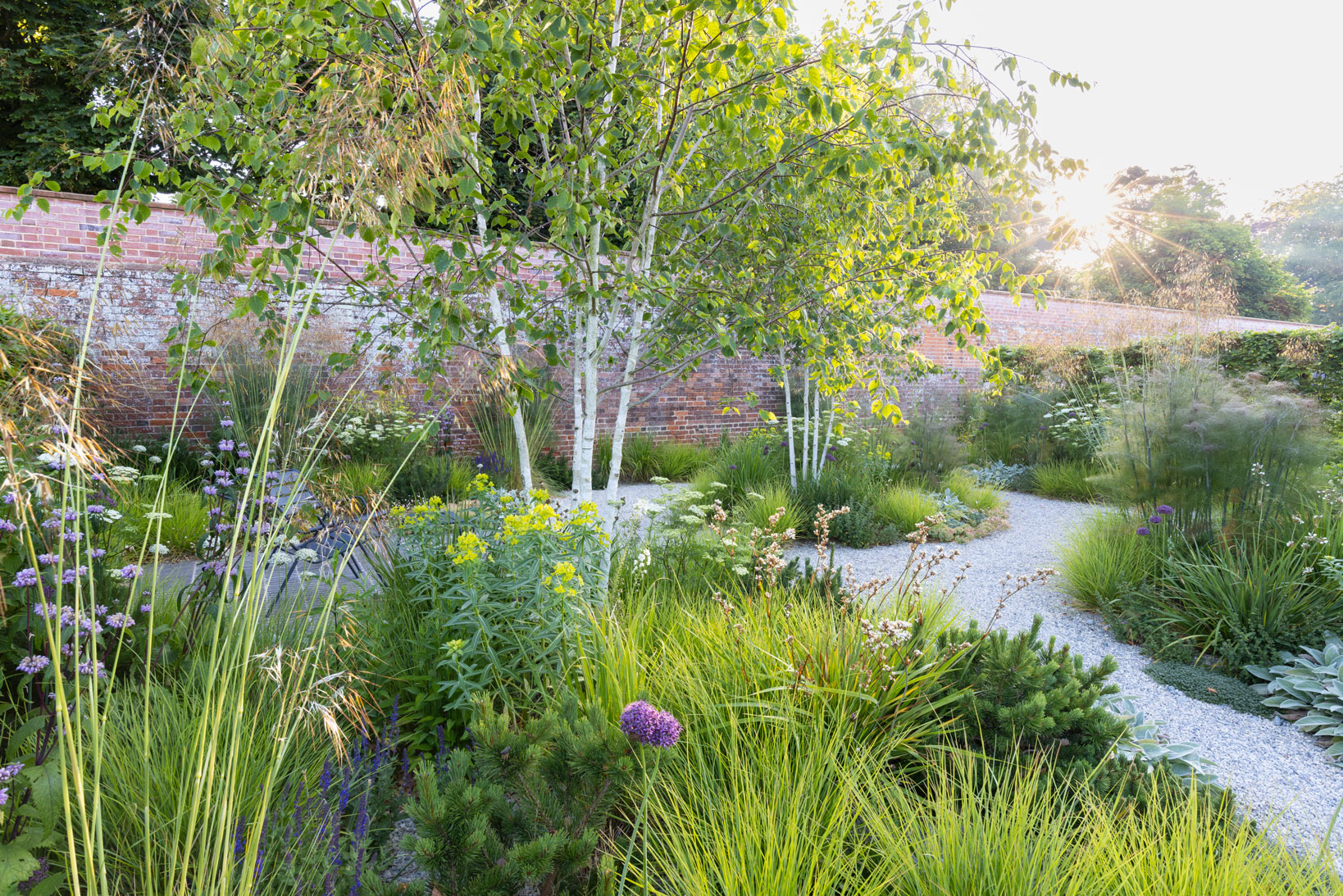 Colm Joseph suffolk walled garden design gravel paths birch trees dwarf pines euphorbia schillingii libertia fennel sesleria autumnalis stipa gigantea